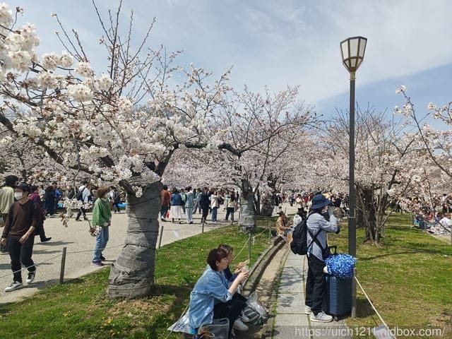 日本大阪之旅6 - 第15張圖 日本大阪之旅6