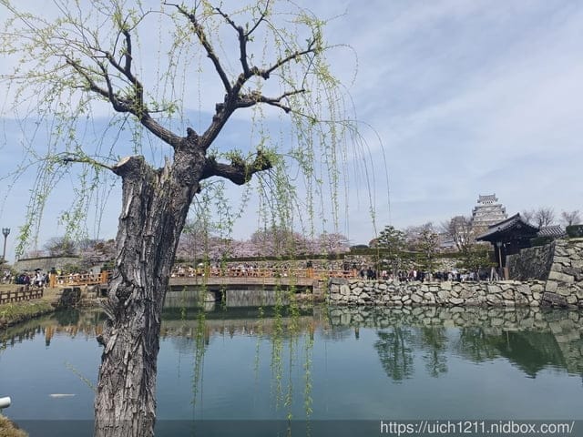 日本大阪之旅6 - 第6張圖 日本大阪之旅6
