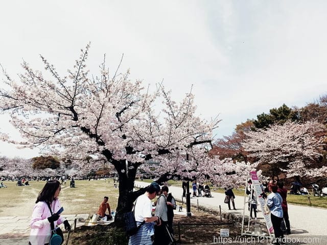 日本大阪之旅6 - 第21張圖 日本大阪之旅6