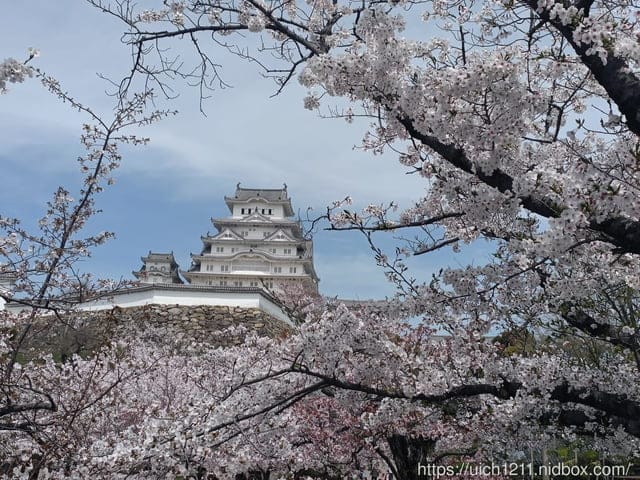 日本大阪之旅6 - 第38張圖 日本大阪之旅6