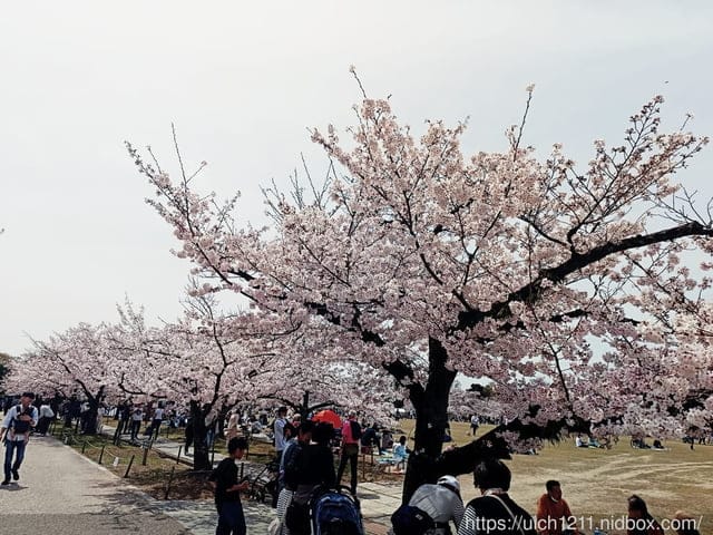 日本大阪之旅6 - 第22張圖 日本大阪之旅6