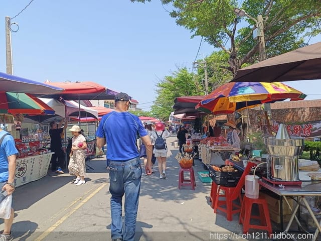 台南賞花 - 第7張圖 台南賞花