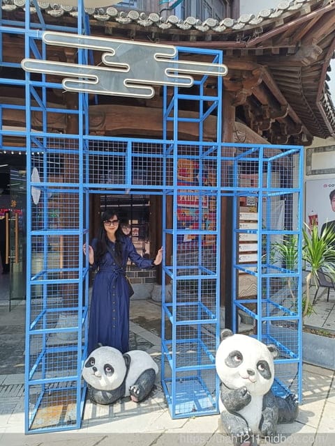 大陸之旅 - 第30張圖 大陸之旅