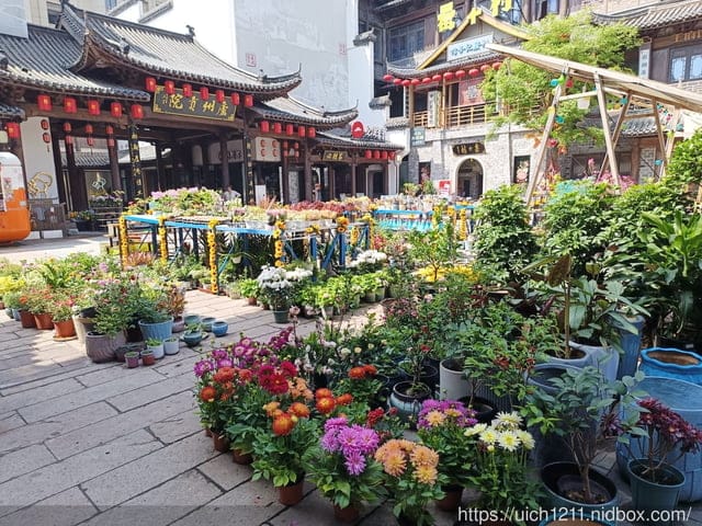 大陸之旅 - 第29張圖 大陸之旅