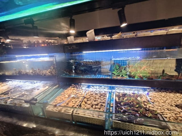 大陸之旅 - 第131張圖 大陸之旅