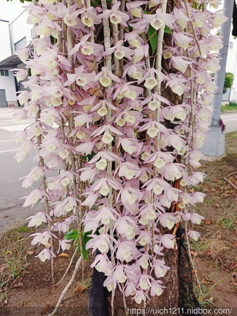 台南二日遊 - 第63張圖 台南二日遊