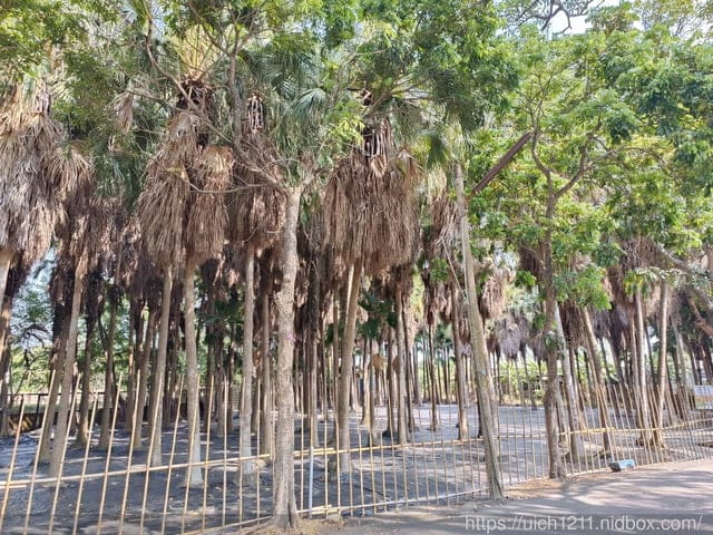 烏樹林休閒園區