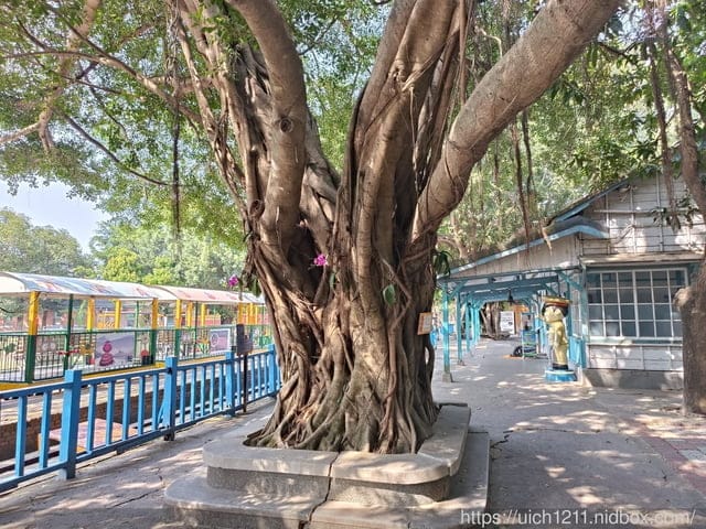 烏樹林休閒園區