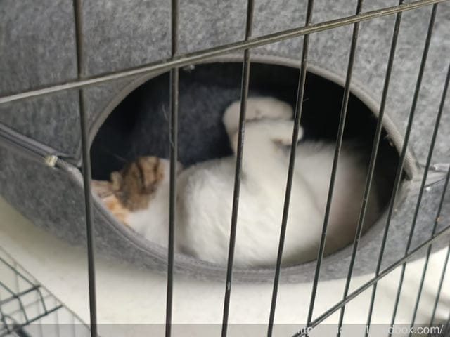 新幹線列車站火車餐廳