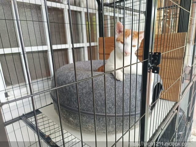 新幹線列車站火車餐廳