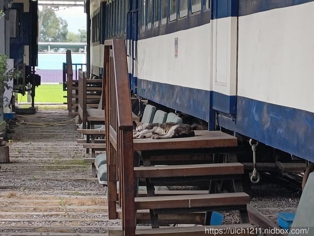 新幹線列車站火車餐廳