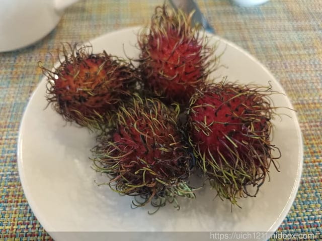 富國島之旅1 - 第13張圖 富國島之旅1