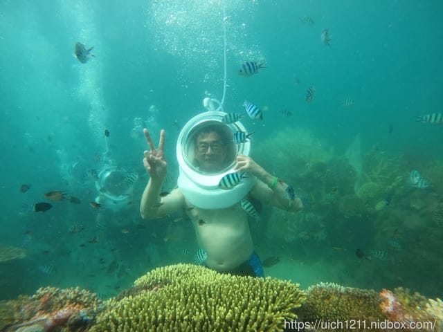 富國島之旅2 - 第32張圖 富國島之旅2