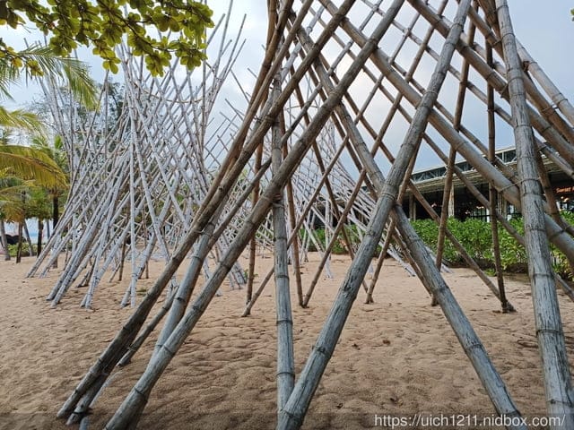 富國島之旅2 - 第49張圖 富國島之旅2