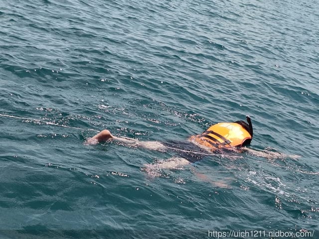 富國島之旅2 - 第19張圖 富國島之旅2