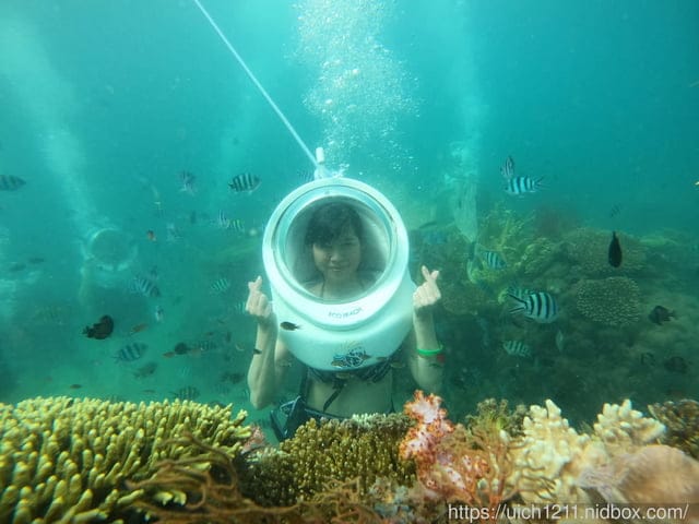 富國島之旅2 - 第33張圖 富國島之旅2