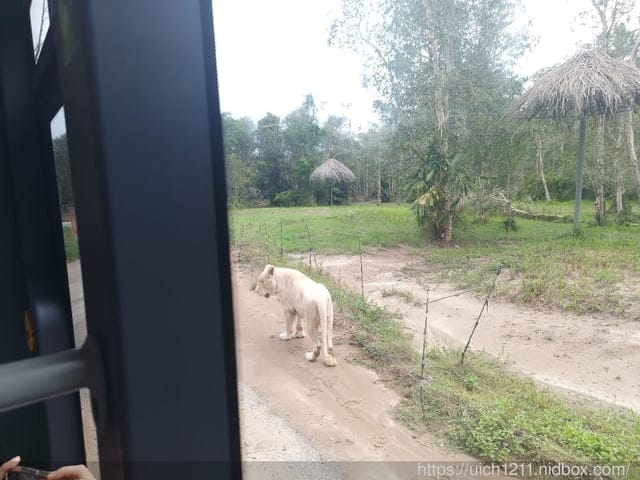富國島之旅3 - 第16張圖 富國島之旅3