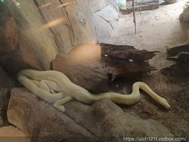 富國島之旅3 - 第8張圖 富國島之旅3