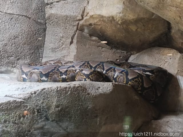 富國島之旅3 - 第7張圖 富國島之旅3