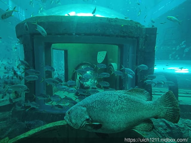 富國島之旅完結篇 - 第14張圖 富國島之旅完結篇