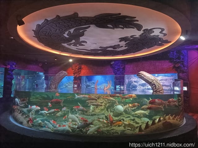 富國島之旅完結篇 - 第18張圖 富國島之旅完結篇