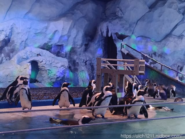 富國島之旅完結篇 - 第29張圖 富國島之旅完結篇