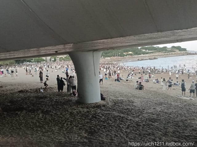 廈門之旅1 - 第47張圖 廈門之旅1