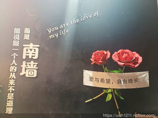 廈門之旅1 - 第63張圖 廈門之旅1