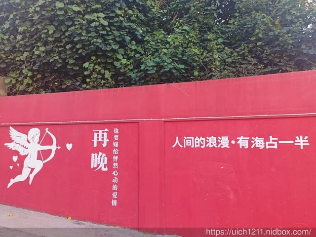 廈門之旅1 - 第22張圖 廈門之旅1