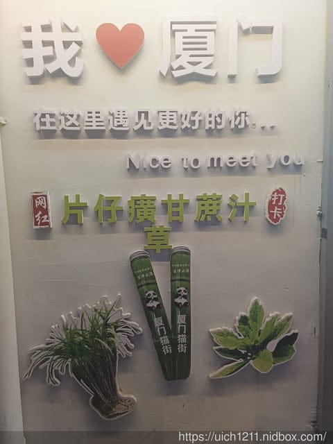 廈門之旅1 - 第66張圖 廈門之旅1