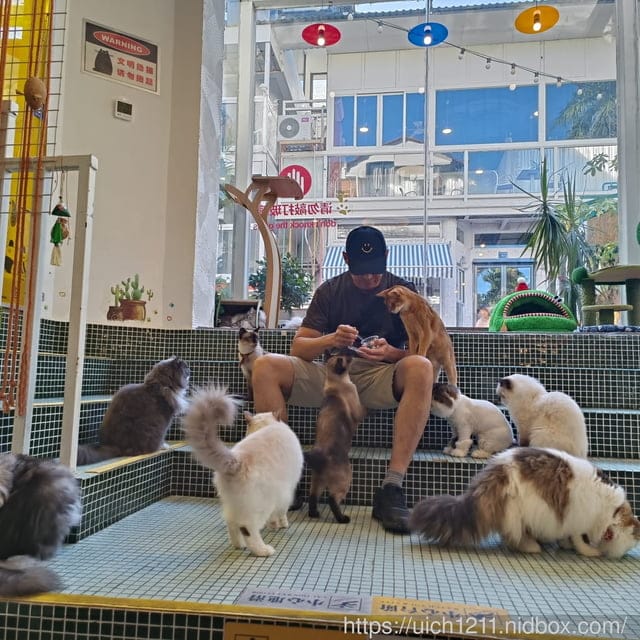 廈門之旅3 - 第18張圖 廈門之旅3