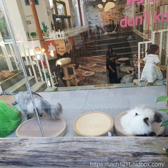 廈門之旅3 - 第15張圖 廈門之旅3