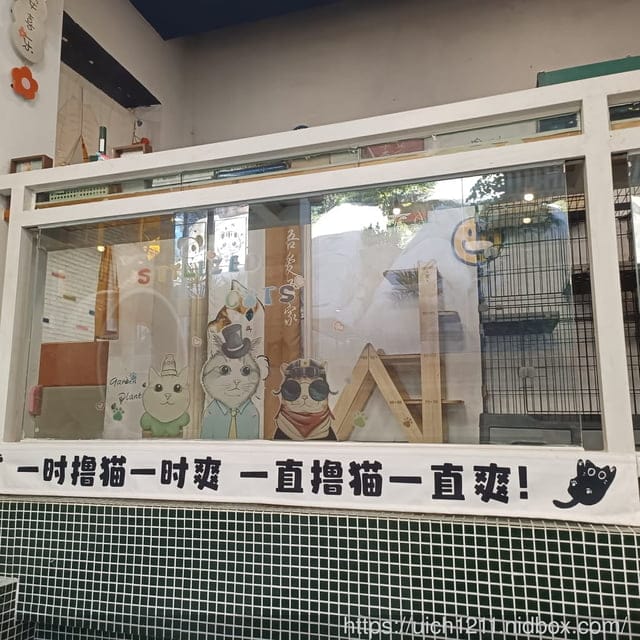 廈門之旅3 - 第20張圖 廈門之旅3