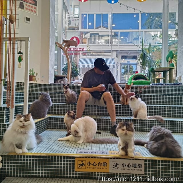 廈門之旅3 - 第19張圖 廈門之旅3