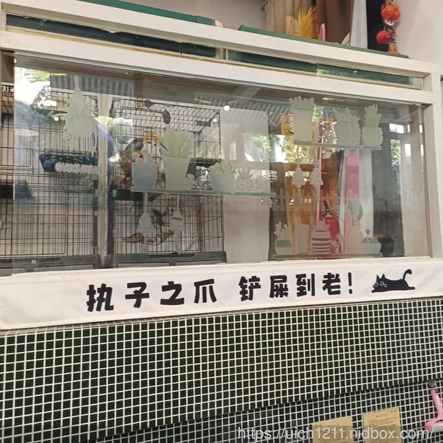 廈門之旅3 - 第21張圖 廈門之旅3