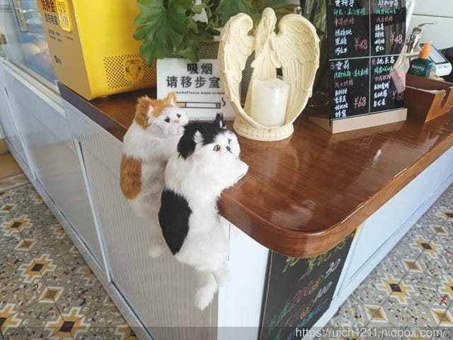 廈門之旅5