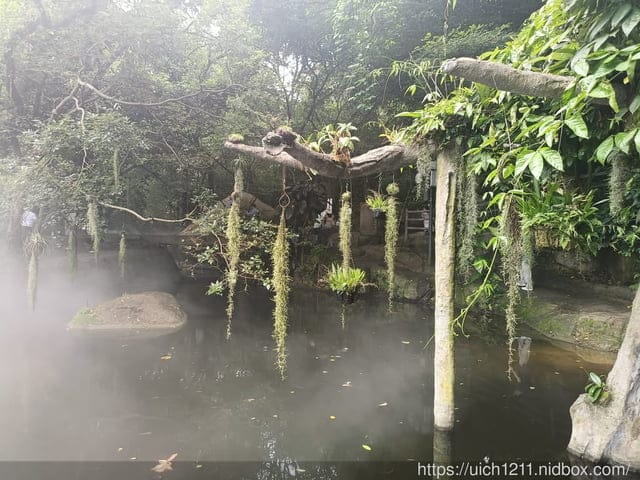 廈門之旅5