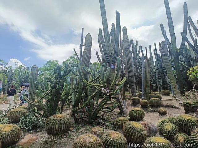廈門之旅5