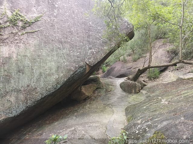 廈門之旅5