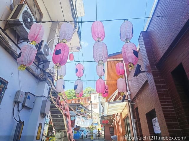 廈門之旅5