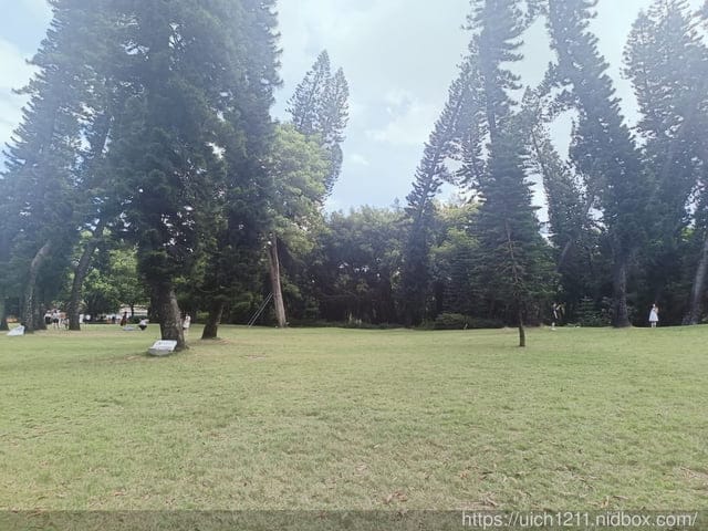 廈門之旅5