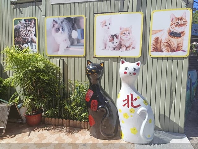 廈門之旅5