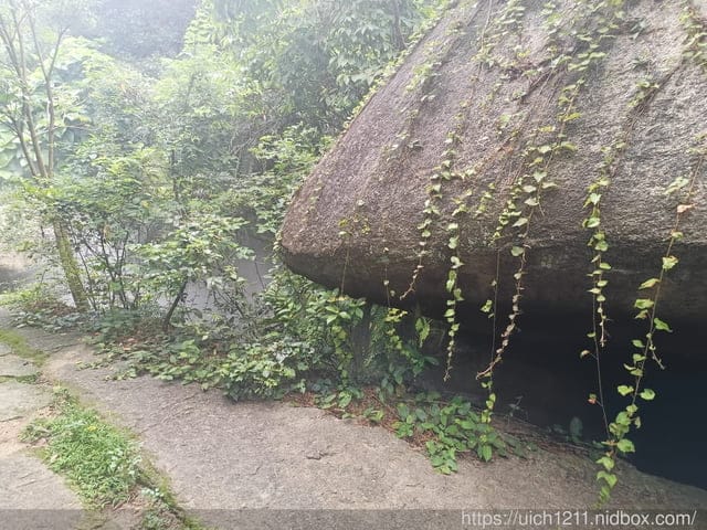 廈門之旅5
