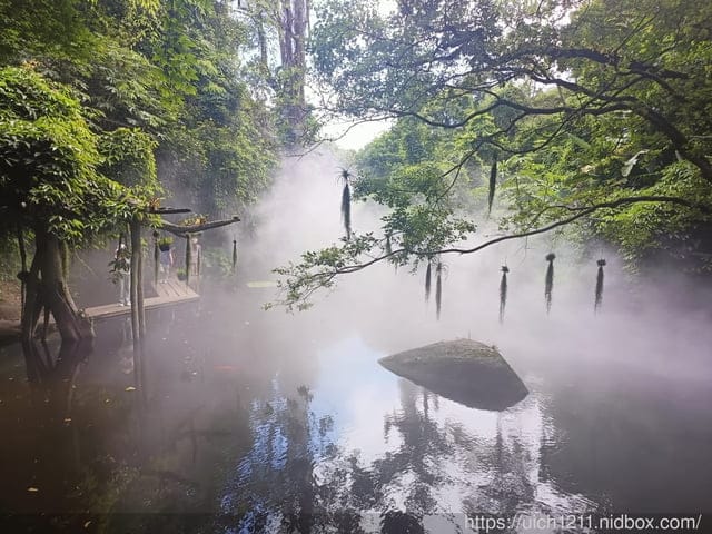 廈門之旅5
