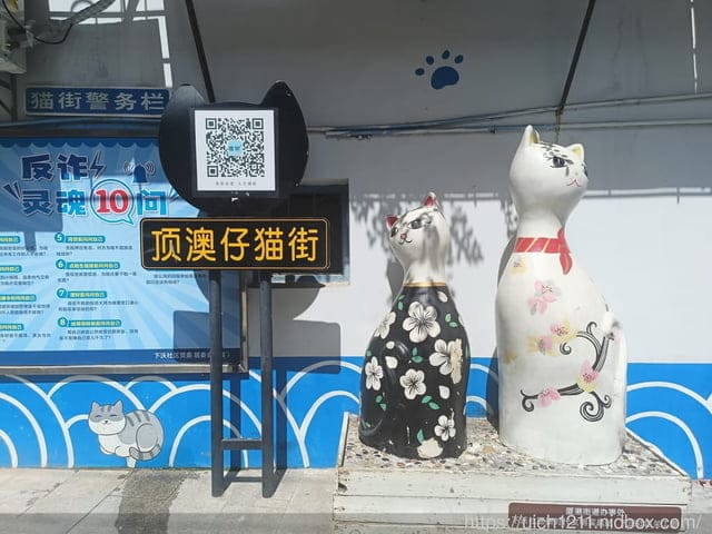 廈門之旅5
