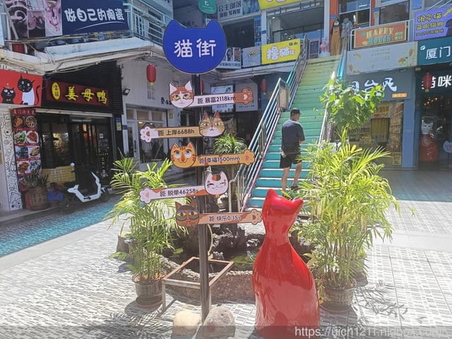 廈門之旅5
