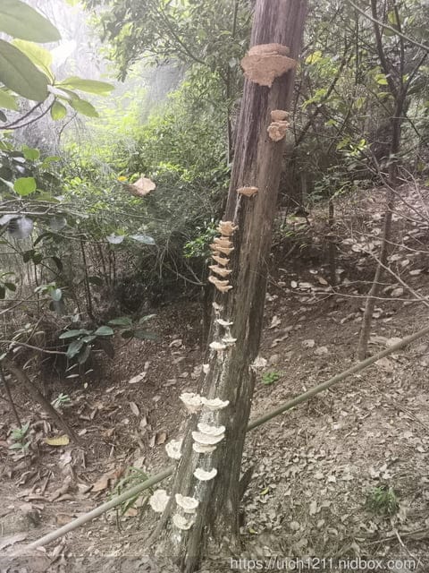 廈門之旅5