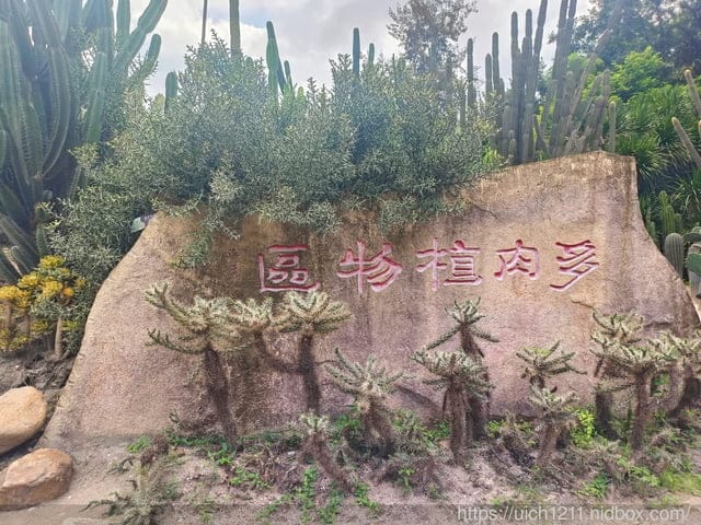 廈門之旅5