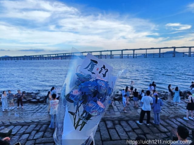 廈門之旅6