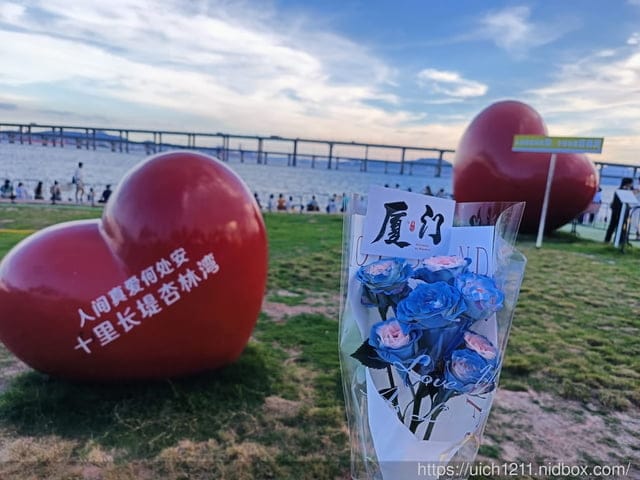廈門之旅6